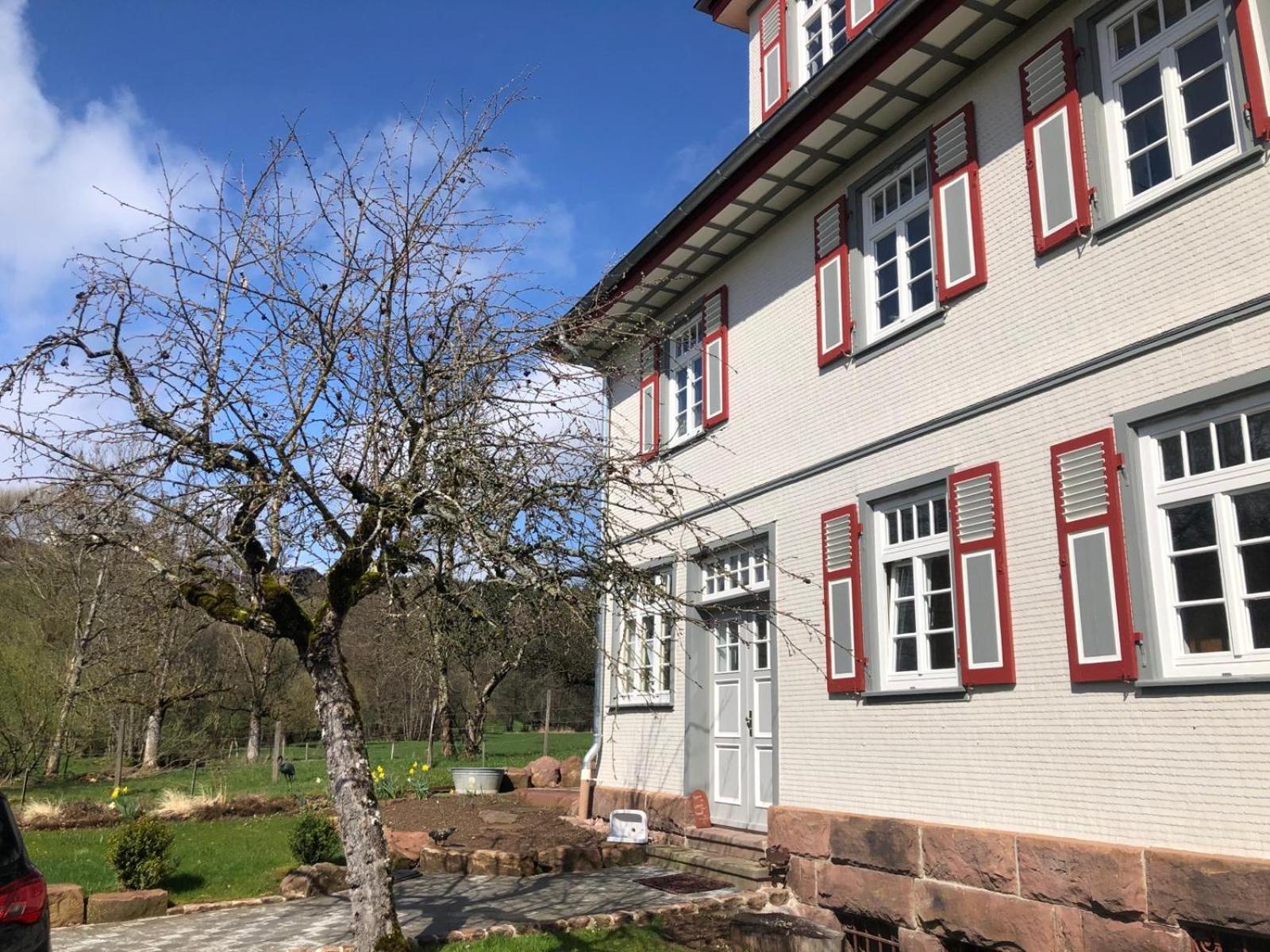 Ferienwohnung Am Stockerbach Freudenstadt Exterior foto
